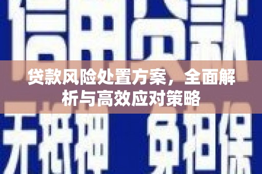 水上贷款风险处置方案，全面解析与高效应对策略