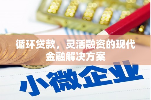 水上循环贷款，灵活融资的现代金融解决方案