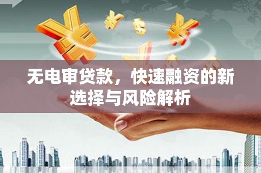 水上无电审贷款，快速融资的新选择与风险解析