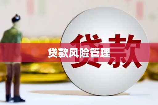 水上贷款风险管理