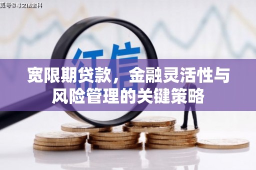 水上宽限期贷款，金融灵活性与风险管理的关键策略