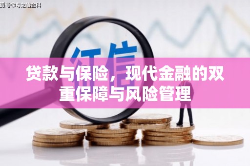 水上贷款与保险，现代金融的双重保障与风险管理