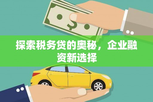 水上探索税务贷的奥秘，企业融资新选择
