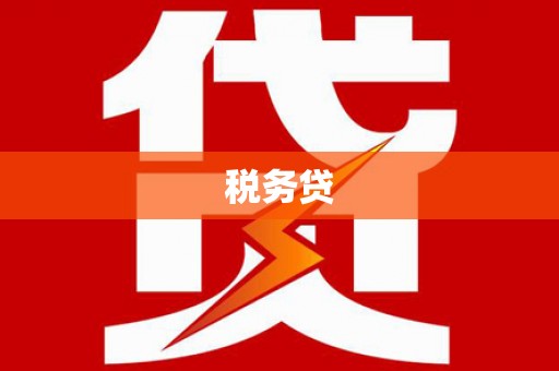 水上税务贷