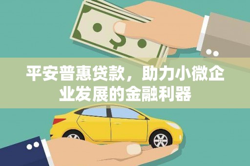 水上平安普惠贷款，助力小微企业发展的金融利器