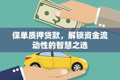 水上保单质押贷款，解锁资金流动性的智慧之选