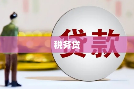 水上税务贷