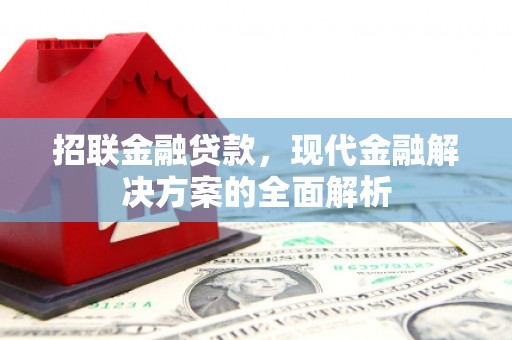 水上招联金融贷款，现代金融解决方案的全面解析