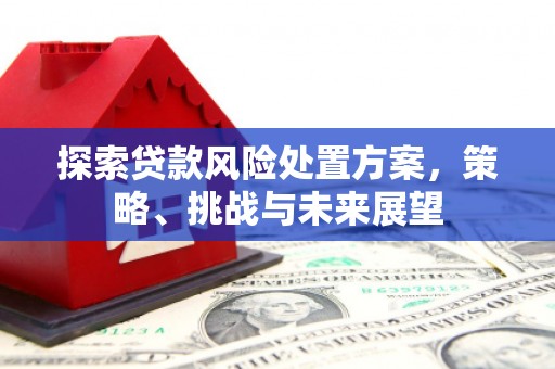 水上探索贷款风险处置方案，策略、挑战与未来展望