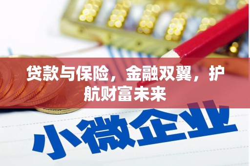 水上贷款与保险，金融双翼，护航财富未来