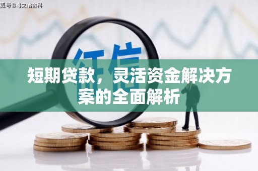 水上短期贷款，灵活资金解决方案的全面解析