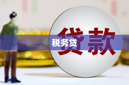 水上税务贷