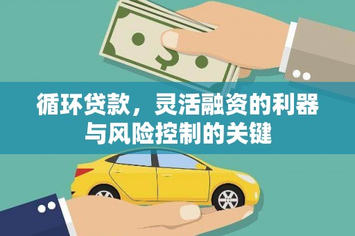 水上循环贷款，灵活融资的利器与风险控制的关键