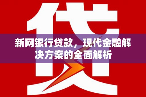 水上新网银行贷款，现代金融解决方案的全面解析