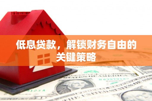 水上低息贷款，解锁财务自由的关键策略