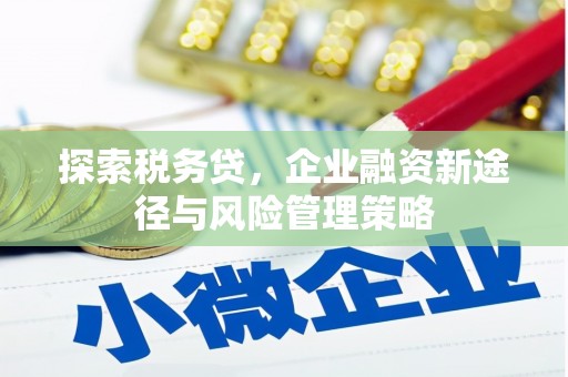 水上探索税务贷，企业融资新途径与风险管理策略