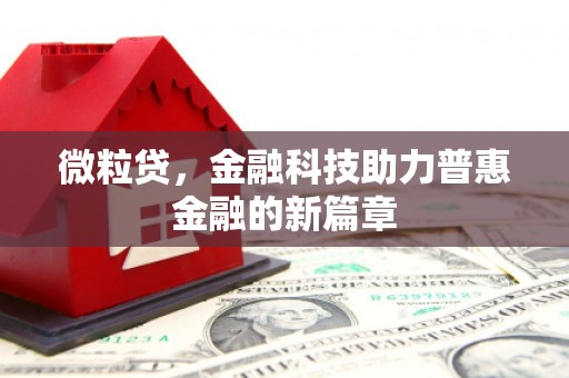 水上微粒贷，金融科技助力普惠金融的新篇章