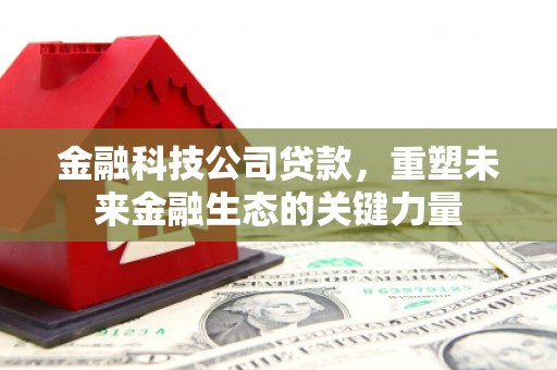 水上金融科技公司贷款，重塑未来金融生态的关键力量