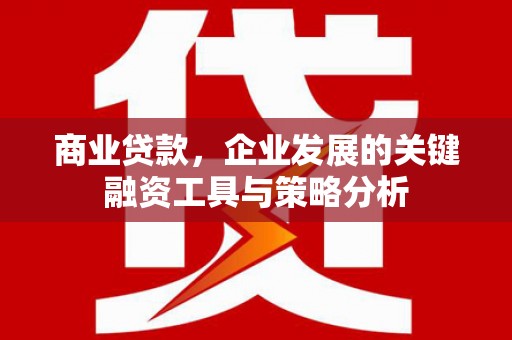 水上商业贷款，企业发展的关键融资工具与策略分析