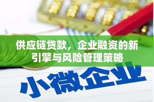 水上供应链贷款，企业融资的新引擎与风险管理策略