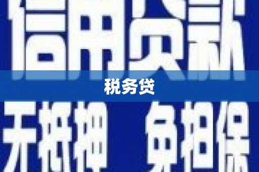 水上税务贷