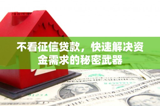水上不看征信贷款，快速解决资金需求的秘密武器