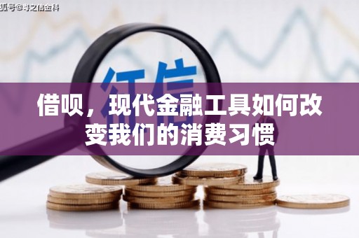 水上借呗，现代金融工具如何改变我们的消费习惯