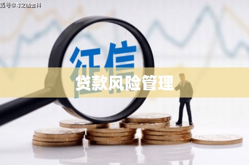水上贷款风险管理