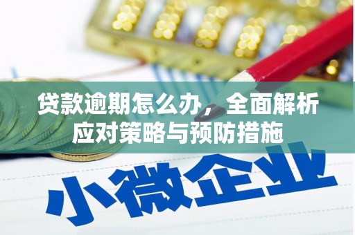 水上贷款逾期怎么办，全面解析应对策略与预防措施