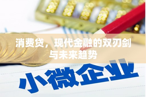 水上消费贷，现代金融的双刃剑与未来趋势
