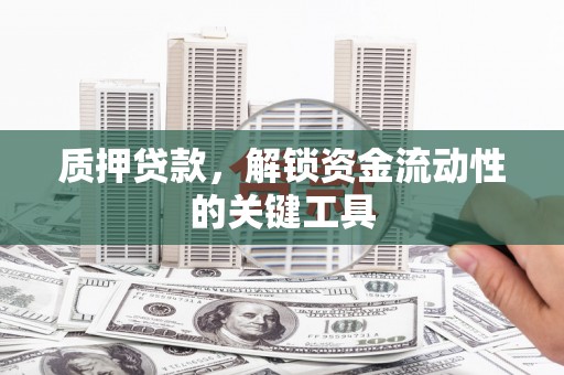 水上质押贷款，解锁资金流动性的关键工具