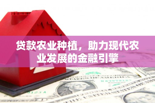 水上贷款农业种植，助力现代农业发展的金融引擎