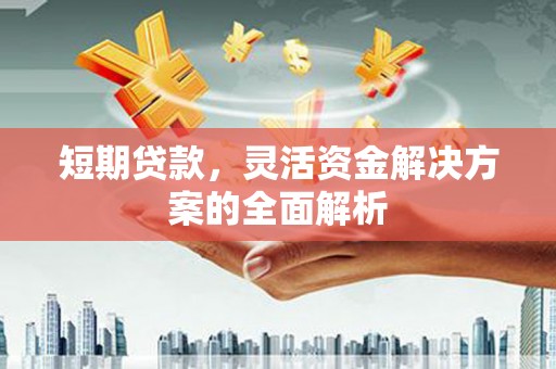 水上短期贷款，灵活资金解决方案的全面解析