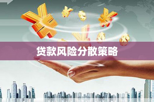 水上贷款风险分散策略