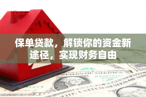 水上保单贷款，解锁你的资金新途径，实现财务自由
