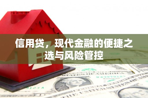 水上信用贷，现代金融的便捷之选与风险管控