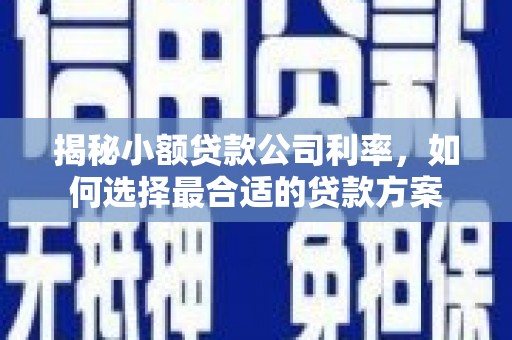 水上揭秘小额贷款公司利率，如何选择最合适的贷款方案