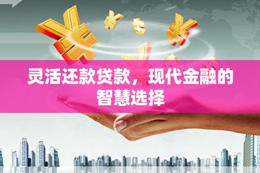 水上灵活还款贷款，现代金融的智慧选择