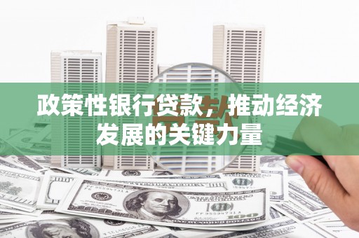 水上政策性银行贷款，推动经济发展的关键力量