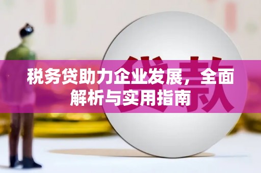 水上税务贷助力企业发展，全面解析与实用指南