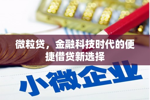 水上微粒贷，金融科技时代的便捷借贷新选择
