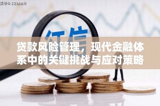 水上贷款风险管理，现代金融体系中的关键挑战与应对策略