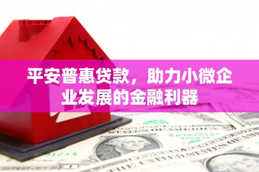 水上平安普惠贷款，助力小微企业发展的金融利器