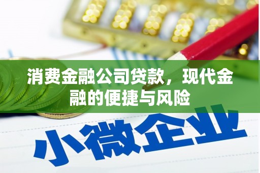 水上消费金融公司贷款，现代金融的便捷与风险