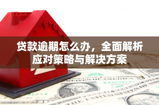 水上贷款逾期怎么办，全面解析应对策略与解决方案