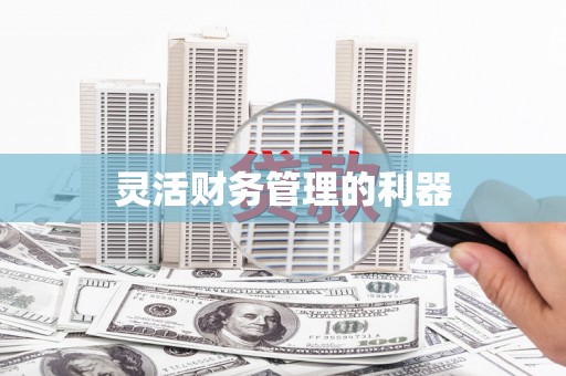 水上灵活财务管理的利器