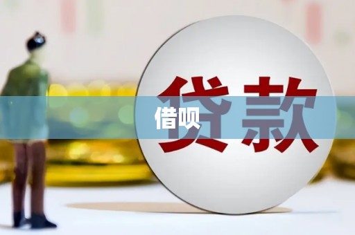 水上借呗