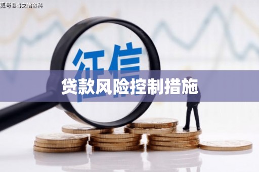 水上贷款风险控制措施