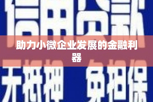 水上助力小微企业发展的金融利器