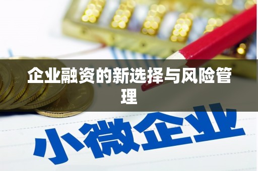 水上企业融资的新选择与风险管理